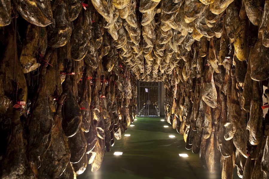 Discover a new horizon of taste.